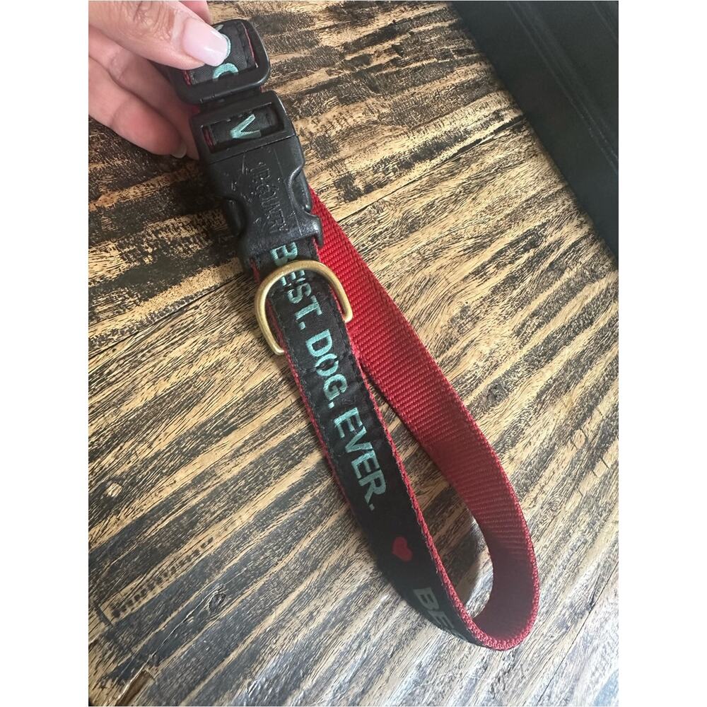 Vivacouture Black Collar with Teal Embroidered Text and Red Stitching - Picture 5 of 8